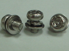 Pan Head Torx Security Machine Screw with Washers SUS Product Photo