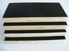 black film faced plywood  Product Photo