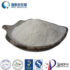 Borage Seed Oil Powder Product Photo