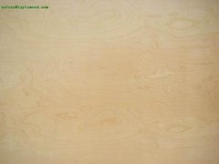 birch plywod Product Photo