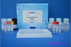 Sulfamethazine ELISA Test Kit Product Photo