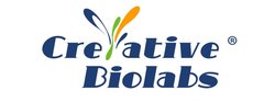 Magic™ Membrane Protein Characterization by High-Throughput SPR and BLI Studies Product Photo