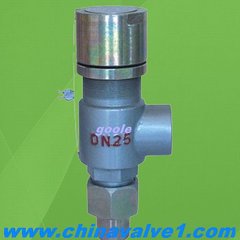 A21 Spring loaded low lift external thread type safety valve Product Photo