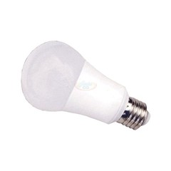 10W E27 LED Light Bulb | A19 LED Globe Bulb Product Photo