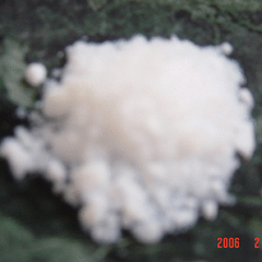 Silicon Product Photo