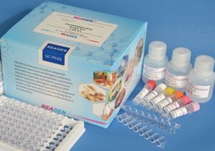 Metronidazole ELISA/EIA Product Photo