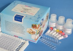 Oxolinic Acid ELISA/EIA Product Photo