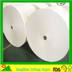 PE Coated Paper Roll Product Photo
