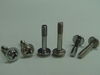 Pan Head Phillip Recess Machine Screw with Lock Washer SUS _ Chromium Plated