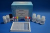 Vitamin b12 microbiological assay Kit is Easy to use microbiological microtiter plate test for the quantification of tot