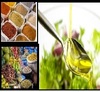 We are Trading in high quality Food products & Spices 