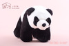 Little Panda