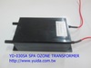SPA machine application transformer made in Taiwan